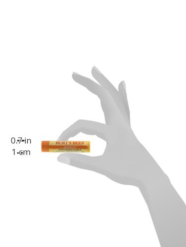 BURTS BEES MOISTURIZING MANGO LIP BALM 2-PACK, 0.15 OZ 4.25 G EACH HYDRATING LIP CARE BALM