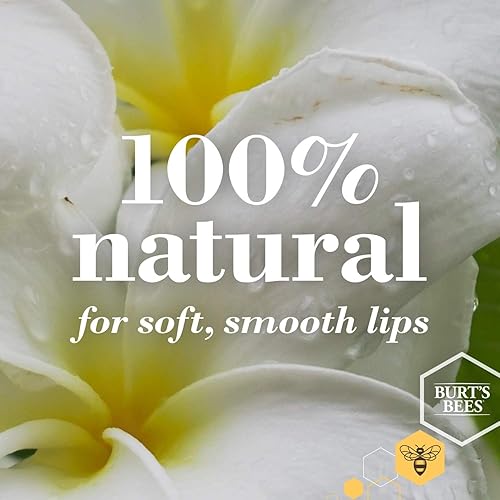 BURTS BEES COCONUT PEAR LIP BALM, NATURAL MOISTURIZER WITH BEESWAX, 2-PACK 0.15 OZ