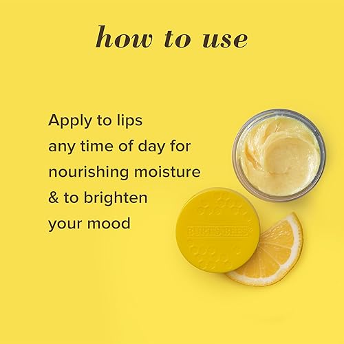 BURTS BEES 3-PACK LIP SLEEPING MASK SET HYDRATING EXFOLIATING SCRUB STOCKING STUFFERS