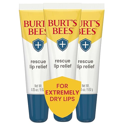 BURTS BEES LIP BALM 3-PACK MOISTURIZING SHEA BUTTER ECHINACEA, DRY LIP RELIEF GIFT