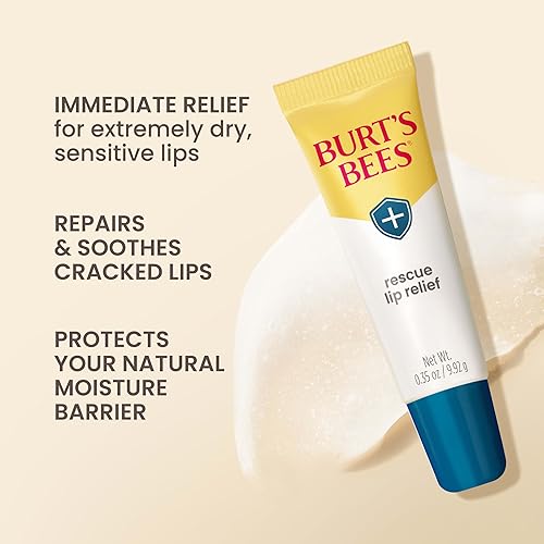 BURTS BEES LIP BALM 3-PACK MOISTURIZING SHEA BUTTER ECHINACEA, DRY LIP RELIEF GIFT