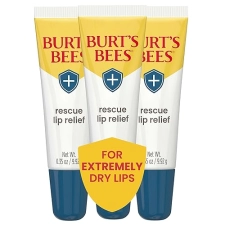 BURTS BEES LIP BALM 3-PACK MOISTURIZING SHEA BUTTER ECHINACEA, DRY LIP RELIEF GIFT