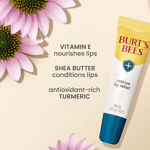 BURTS BEES LIP BALM 3-PACK MOISTURIZING SHEA BUTTER ECHINACEA, DRY LIP RELIEF GIFT