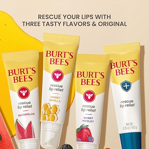 BURTS BEES LIP BALM 3-PACK MOISTURIZING SHEA BUTTER ECHINACEA, DRY LIP RELIEF GIFT