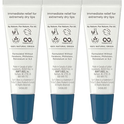 BURTS BEES LIP BALM 3-PACK MOISTURIZING SHEA BUTTER ECHINACEA, DRY LIP RELIEF GIFT