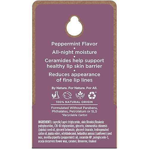 BURTS BEES OVERNIGHT LIP TREATMENT 0.25OZ MOISTURIZING, RESTORATIVE WITH VITAMIN E CERAMIDES