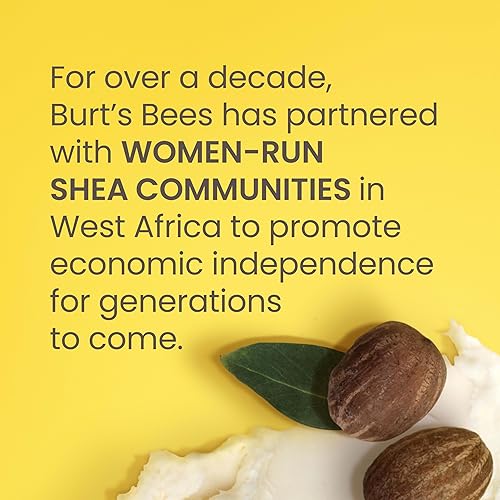 BURTS BEES SHEA ALOE LIP BALM 4-PACK MOISTURIZING, ANTIOXIDANT, NATURAL HOLIDAY GIFT