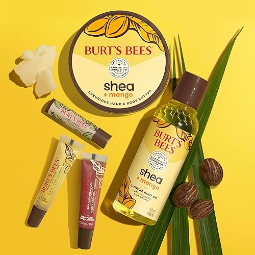 BURTS BEES SHEA ALOE LIP BALM 4-PACK MOISTURIZING, ANTIOXIDANT, NATURAL HOLIDAY GIFT