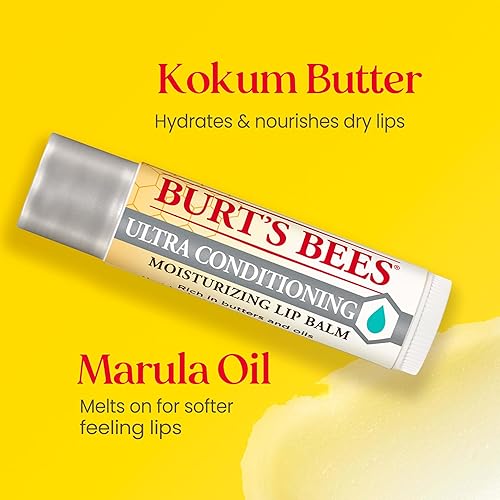 BURTS BEES 4-PACK LIP BALM STOCKING STUFFERS, NATURAL MOISTURIZING LIP CARE WITH SHEA COCOA BUTTER