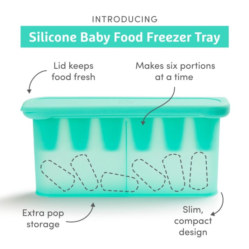 MUNCHKIN SILICONE BABY FOOD FEEDERS FREEZER TRAY SET FOR FRESH FRUIT, BLUE MINT