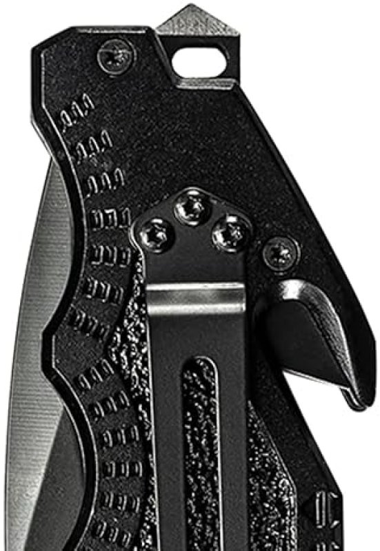 SMITH WESSON BORDER GUARD SWBG1S 10 HIGH CARBON STAINLESS FOLDING KNIFE, 4.4 DROP POINT BLADE