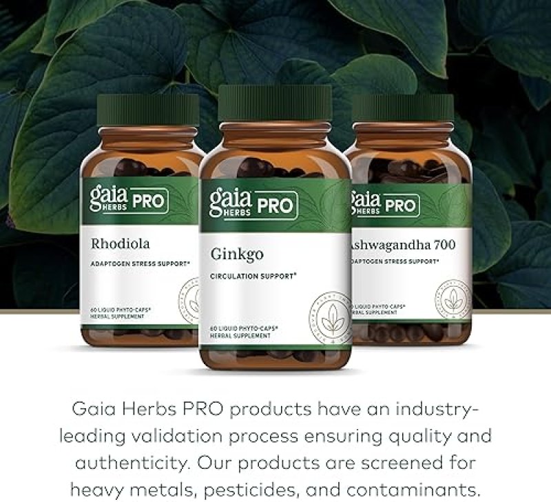 GAIA HERBS PRO GINKGO SUPPLEMENT BRAIN FUNCTION BLOOD CIRCULATION SUPPORT, 60 CAPSULES