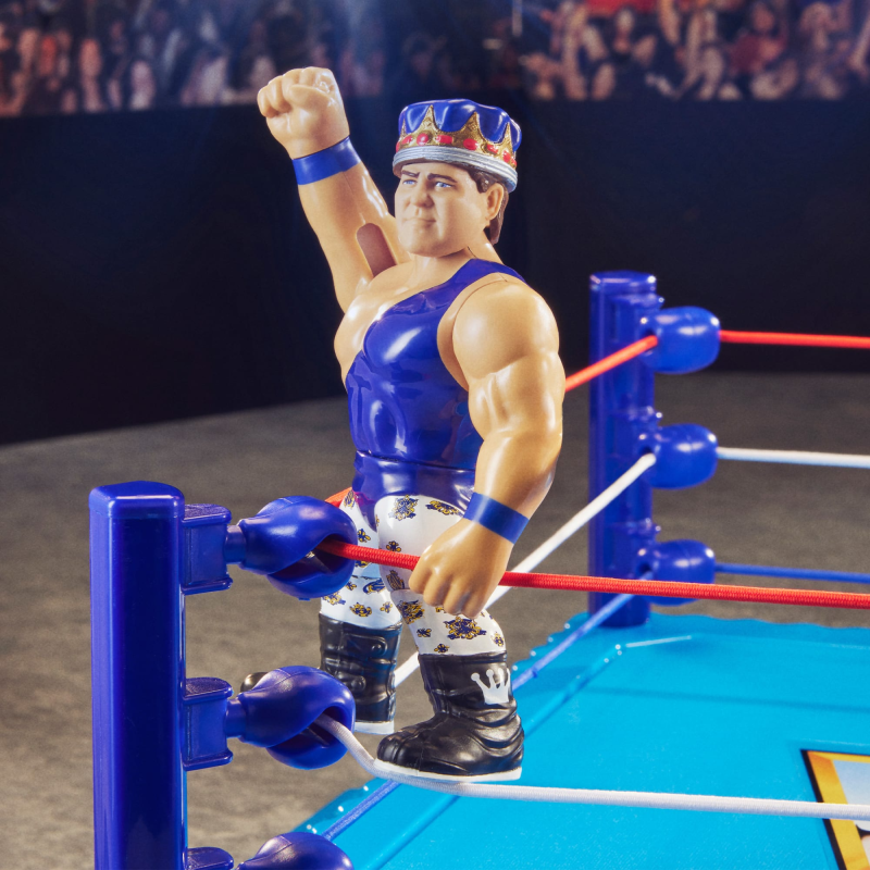 WWE RETRO ACTION FIGURES 4-PACK BUNDLE COLLECTIBLE ACTION FIGURE