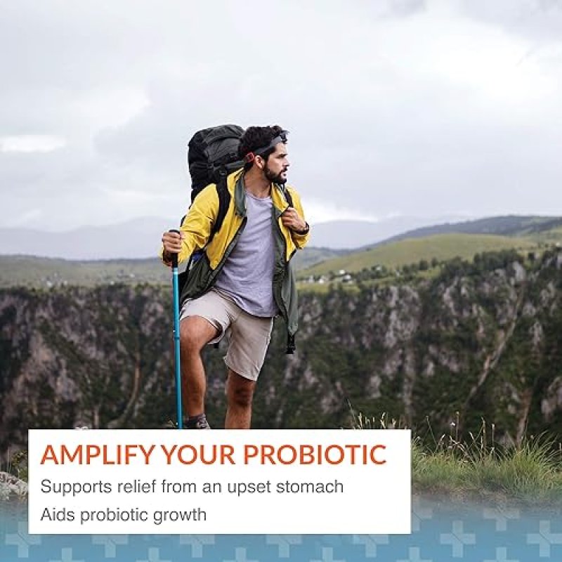 ARTHUR ANDREW MEDICAL FLORAPHAGE PREBIOTIC PROBIOTIC MULTIPLIER , 90 CAPSULES GUT HEALTH SUPPORT