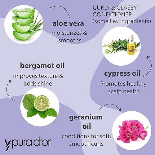 PURA DOR CURLY CLASSY SHAMPOO CONDITIONER SET FOR DEFINED CURLS WITH ARGAN COCONUT OILS