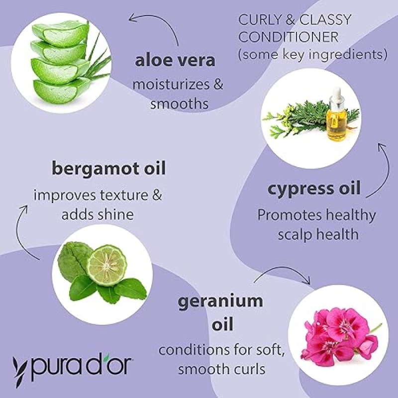 PURA DOR CURLY CLASSY SHAMPOO CONDITIONER SET FOR DEFINED CURLS WITH ARGAN COCONUT OILS