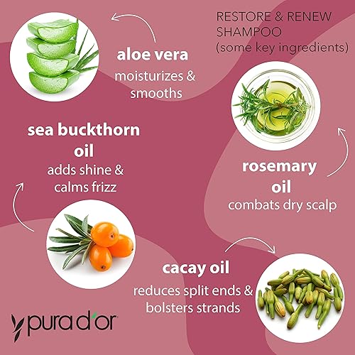 PURA DOR RESTORE RENEW SHAMPOO CONDITIONER SET WITH ORGANIC ALOE VERA, ROSEMARY COCONUT