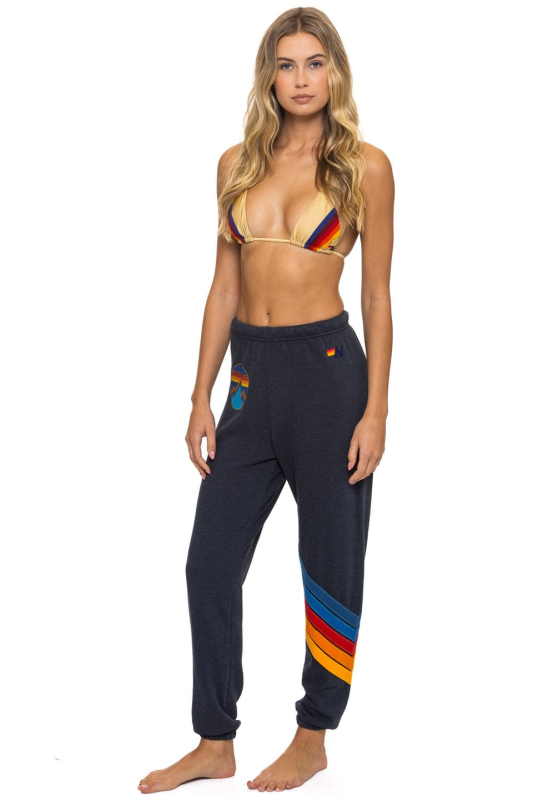 AVIATOR NATION ALL SEASONS CIRCLE CHEVRON SWEATPANTS - CHARCOAL
