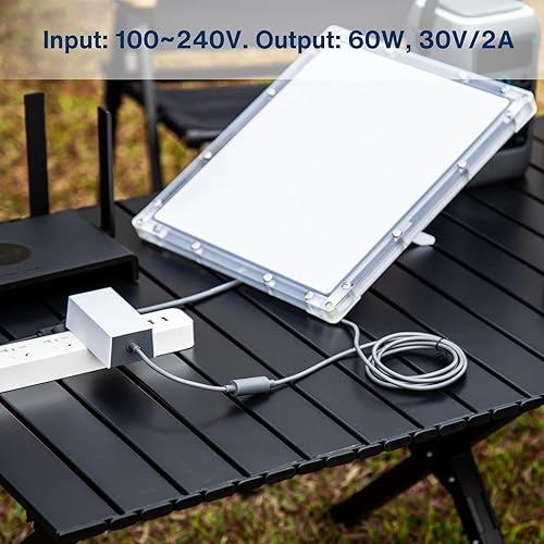 STARLINK STEINWHALE 60W DC POWER ADAPTER FOR STARLINK MINI 30V 2A WITH WATERPROOF CABLE PROTECTION