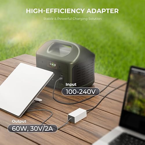 STARLINK STEINWHALE 60W DC POWER CHARGER FOR STARLINK MINI WITH 30V 2A OUTPUT EXTENSION CABLE
