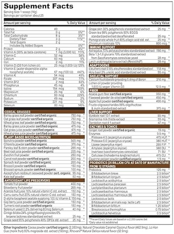 VIBRANT HEALTH VIBRANCE PLANT-BASED SUPERFOOD POWDER VEGAN CHOCOLATE COCONUT 25 SERVINGS BY VIBRANT HEALTH