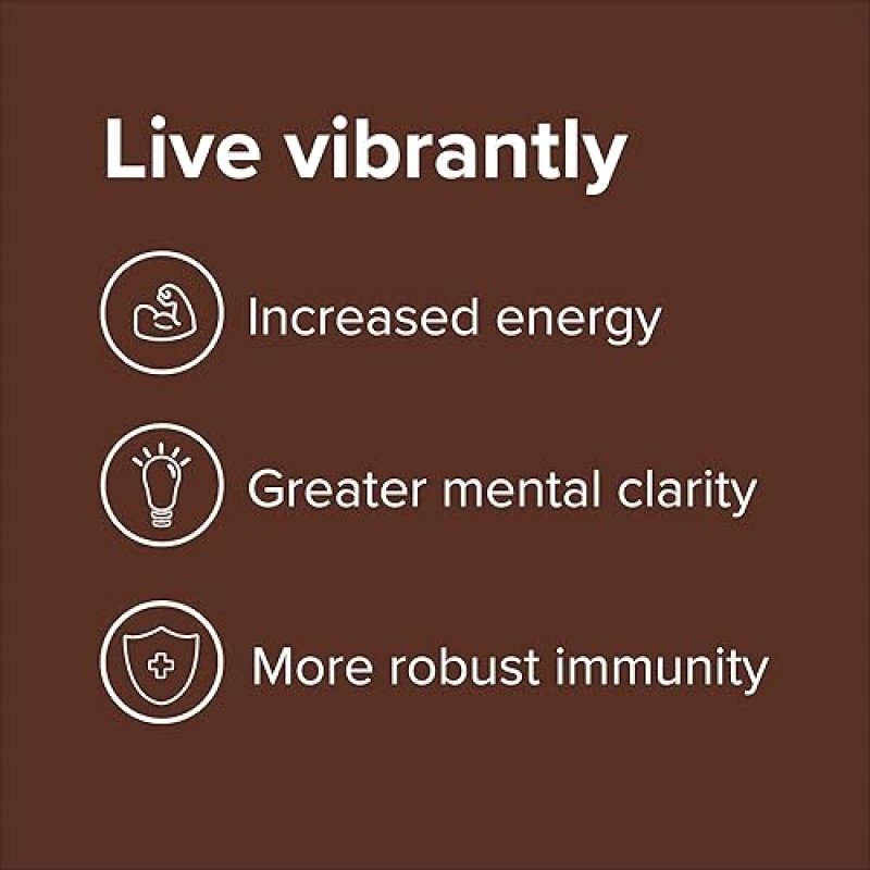 VIBRANT HEALTH VIBRANCE PLANT-BASED SUPERFOOD POWDER VEGAN CHOCOLATE COCONUT 25 SERVINGS BY VIBRANT HEALTH