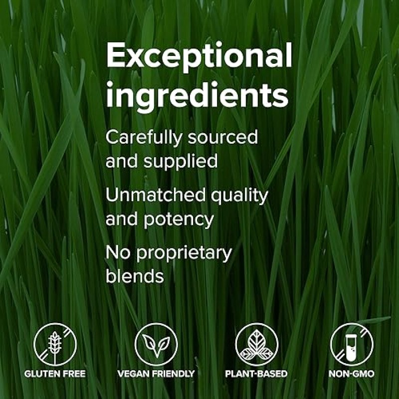 VIBRANT HEALTH VIBRANCE PLANT-BASED SUPERFOOD POWDER VEGAN CHOCOLATE COCONUT 25 SERVINGS BY VIBRANT HEALTH
