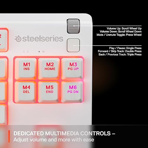 STEELSERIES APEX 3 TKL WHITE RGB GAMING KEYBOARD TENKEYLESS, WATER-RESISTANT, QUIET SWITCH