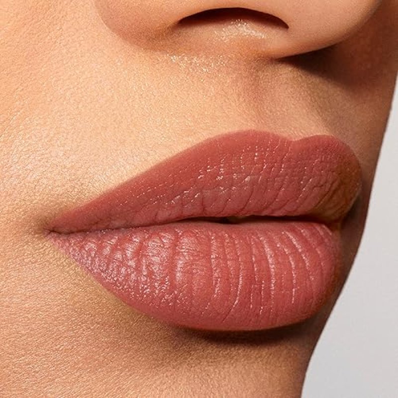 ESTéE LAUDER PURE COLOR EXPLICIT SILK MATTE LIPSTICK FOR WOMEN LONG-LASTING 12-HOUR WEAR
