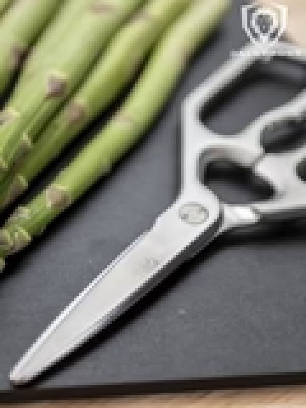 DALSTRONG PROFESSIONAL KITCHEN SCISSORS