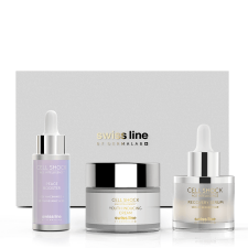 SWISSLINE RESTORE AND RECOVER ROUTINE