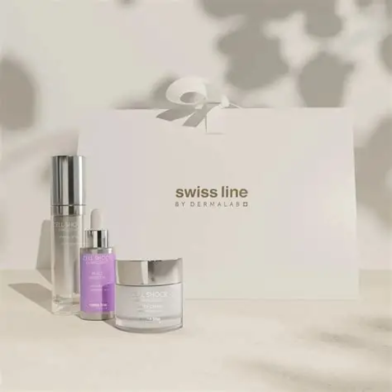 SWISSLINE RESTORE AND RECOVER ROUTINE