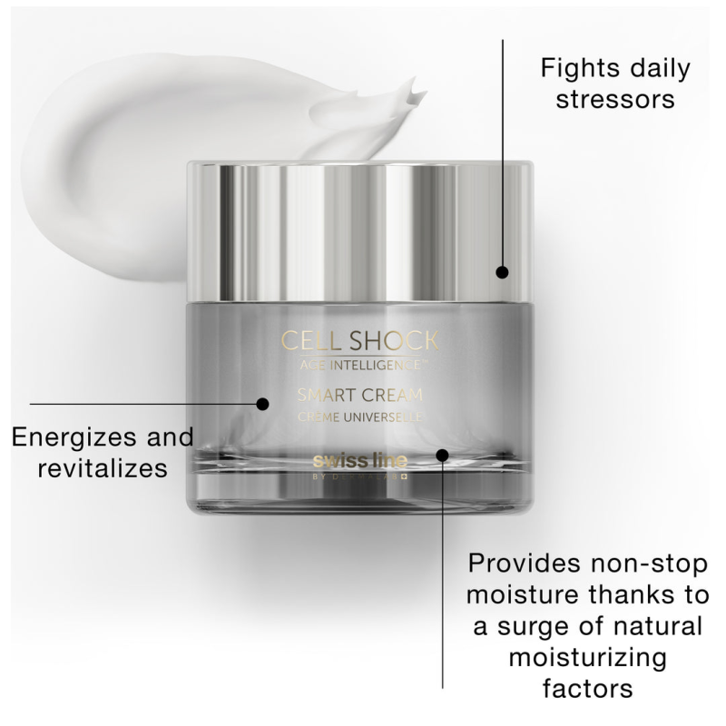 SWISSLINE RESTORE AND RECOVER ROUTINE