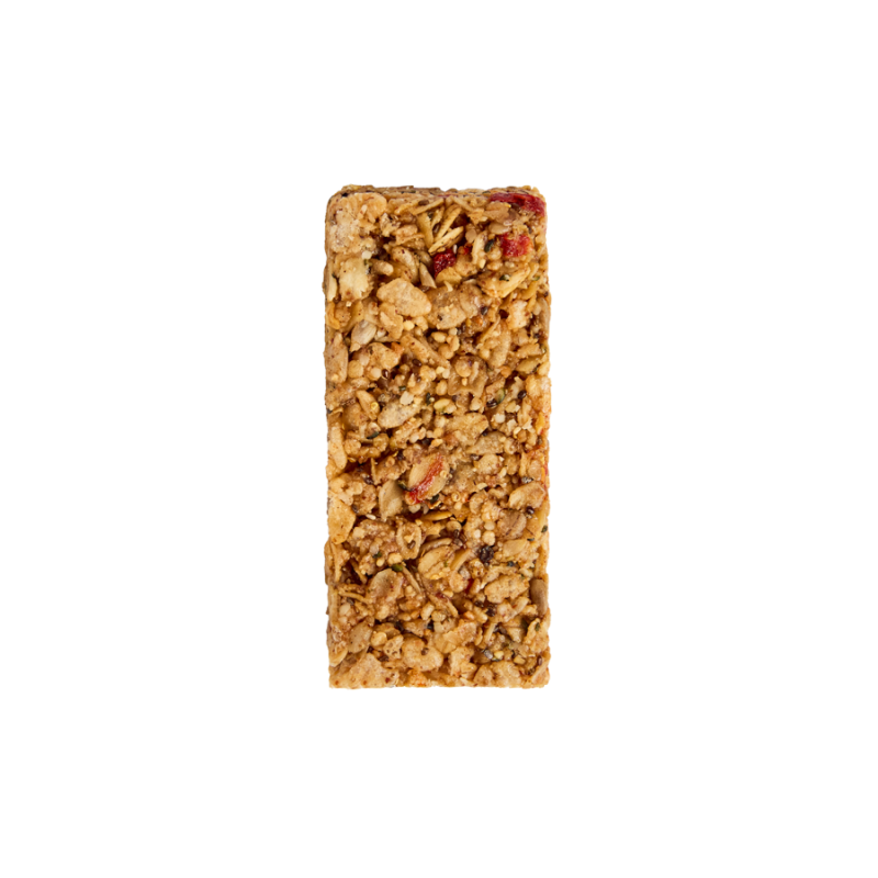EREWHON SEEDED BAR BY ELISSA GOODMAN | 2OZ
