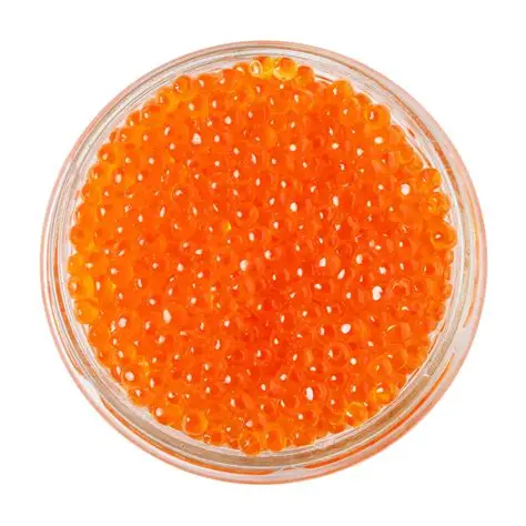 EREWHON REGIIS OVA TROUT ROE | 30 G