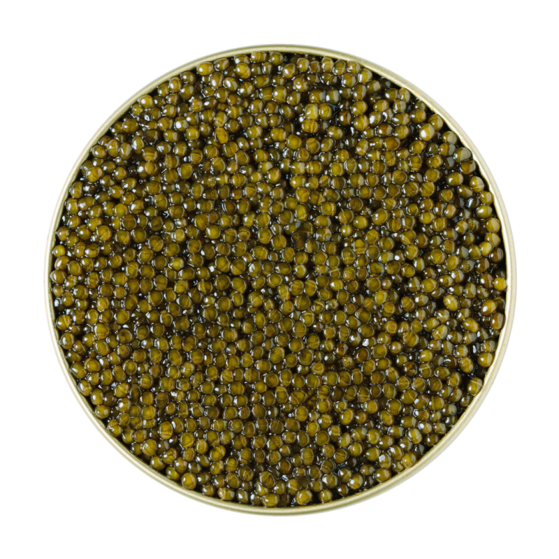 EREWHON REGIIS OVA OSSETRA CAVIAR | 30 G