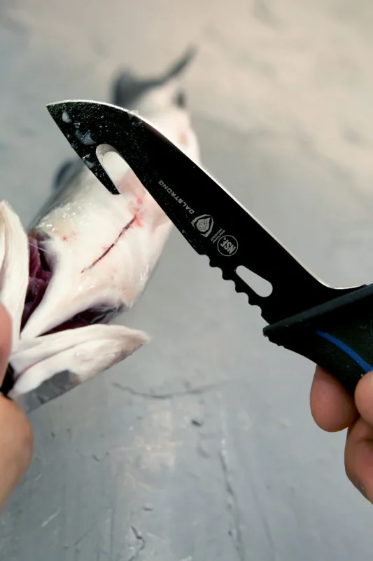 DALSTRONG NIGHT SHARK SERIES HOOK KNIFE 5"