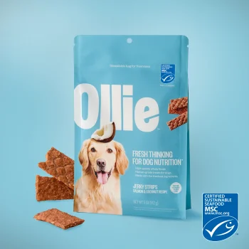 Ollie - Salmon and Coconut Jerky Strips