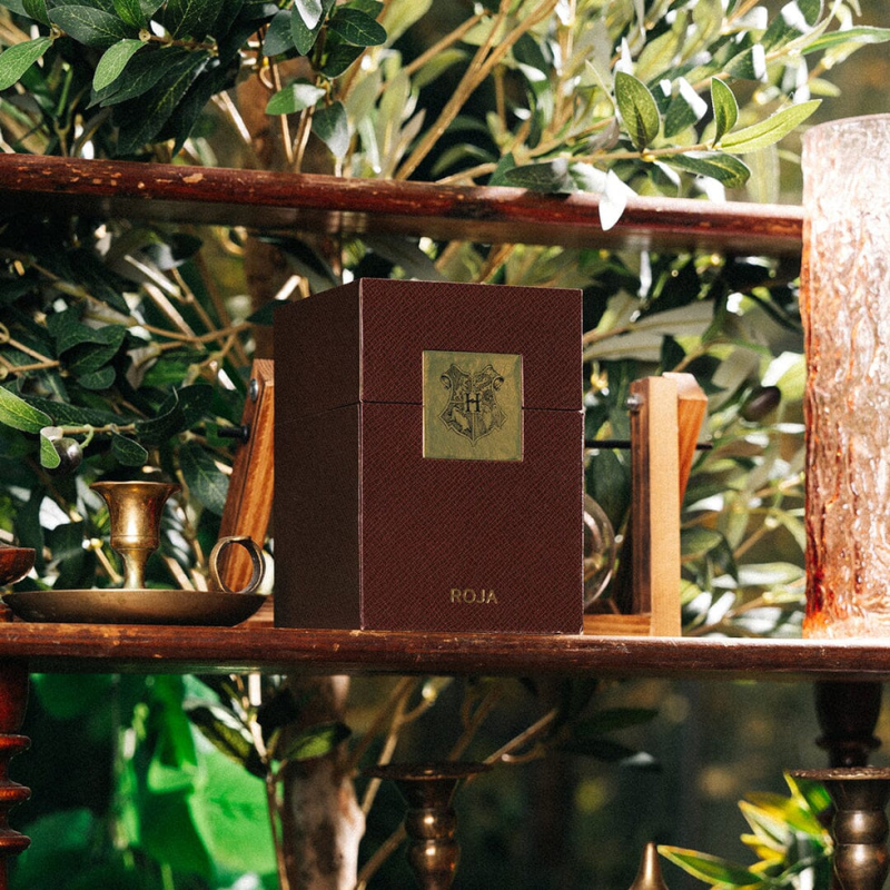 ROJA LONDON HARRY POTTER BURLINGTON 1819 LIMITED-EDITION GRAPEFRUIT, GINGER, AND TOBACCO  100ML EDP