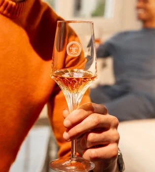 LOUIS XIII Twin Crystal Glasses