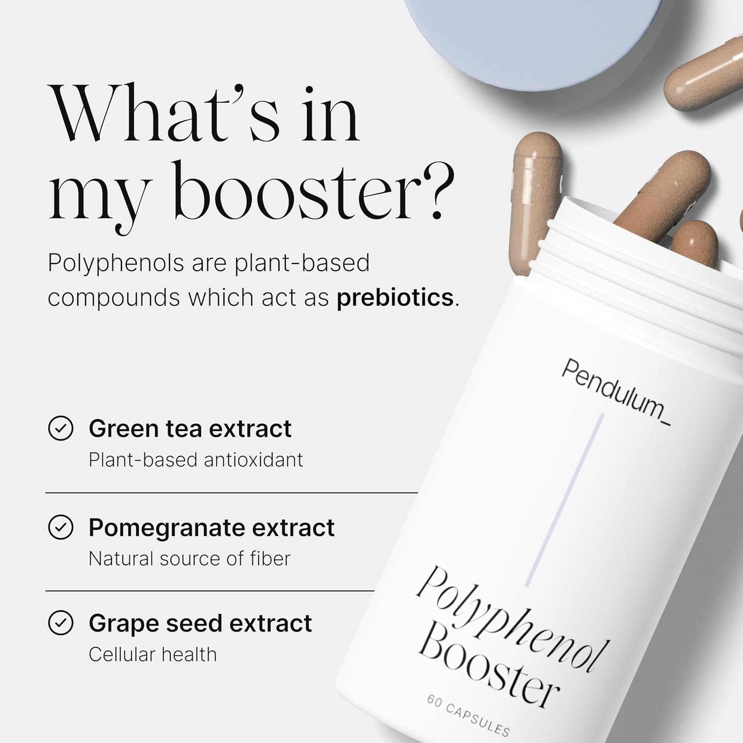 PENDULUM POLYPHENOL BOOSTER CAPSULES ANTIOXIDANT SUPERFOOD FOR GUT HEALTH IMMUNITY, 60 COUNT