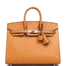 HERMèS BIRKIN SELLIER 25 GOLD OSTRICH PALLADIUM HARDWARE