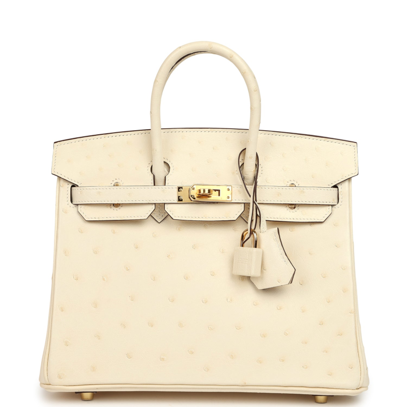 HERMèS BIRKIN 25 NATA OSTRICH BOREAL GOLD HARDWARE
