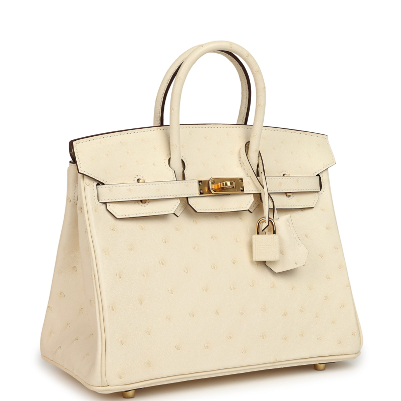 HERMèS BIRKIN 25 NATA OSTRICH BOREAL GOLD HARDWARE