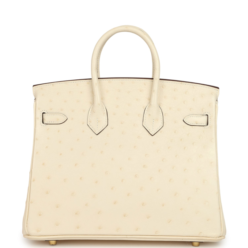 HERMèS BIRKIN 25 NATA OSTRICH BOREAL GOLD HARDWARE