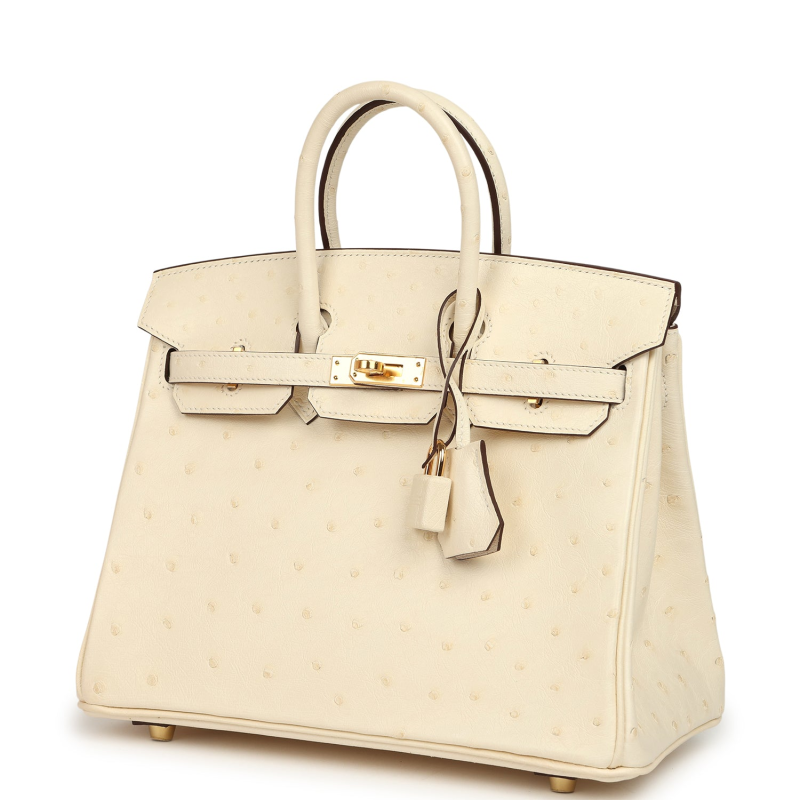 HERMèS BIRKIN 25 NATA OSTRICH BOREAL GOLD HARDWARE