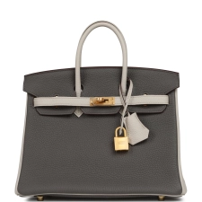 HERMèS SPECIAL ORDER (HSS) BIRKIN 25 ETAIN, CRAIE TOGO BRUSHED GOLD HARDWARE