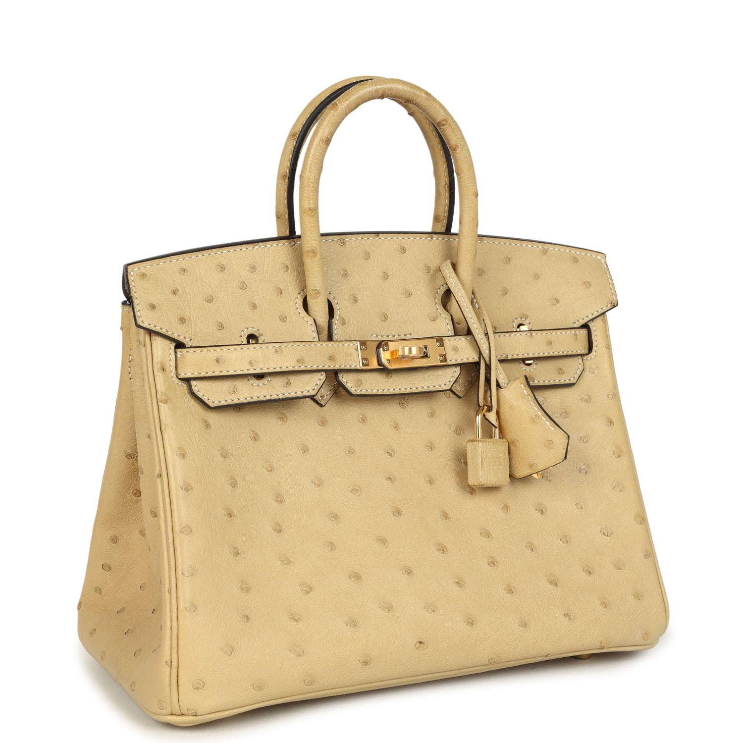 HERMèS BIRKIN 25 TRENCH OSTRICH GOLD HARDWARE