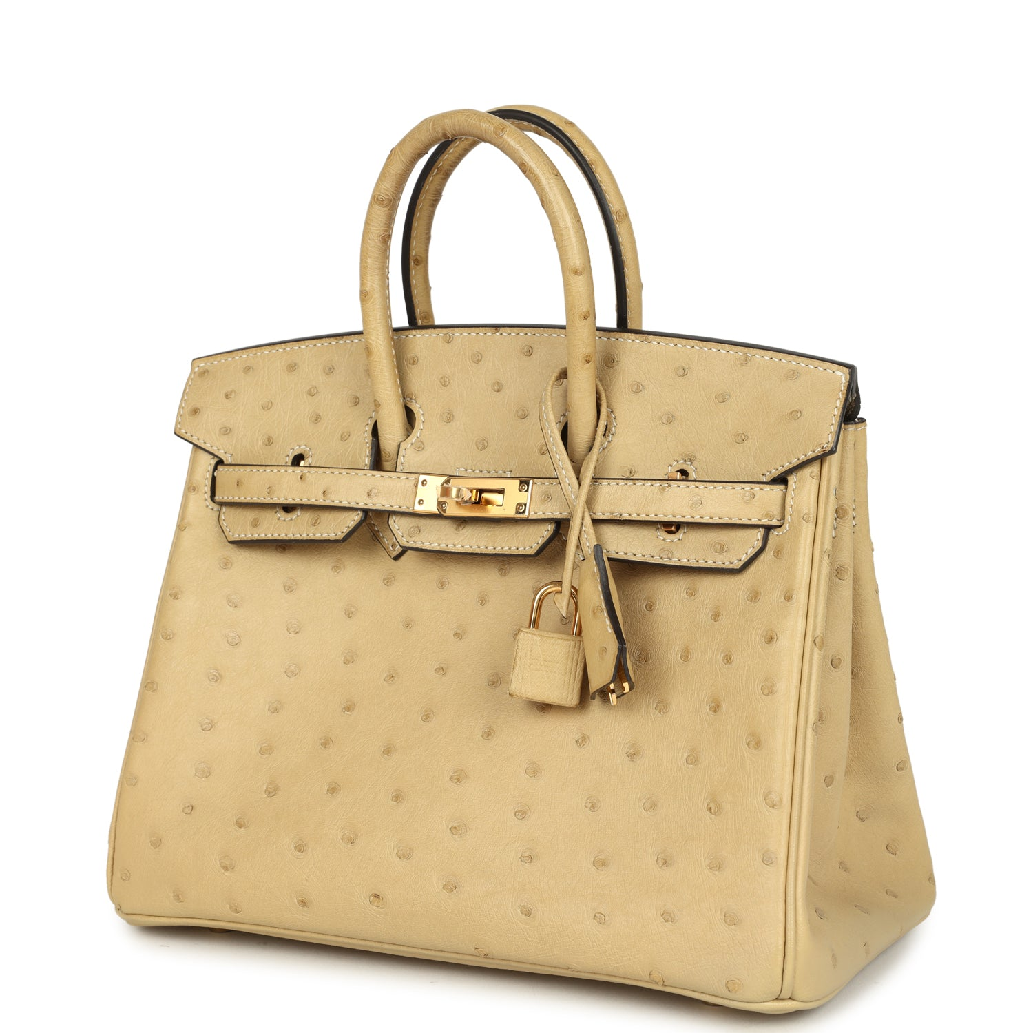 HERMèS BIRKIN 25 TRENCH OSTRICH GOLD HARDWARE