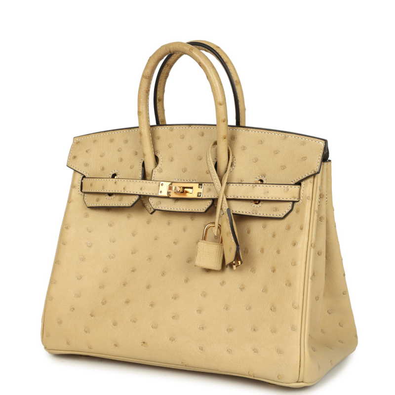 HERMèS BIRKIN 25 TRENCH OSTRICH GOLD HARDWARE